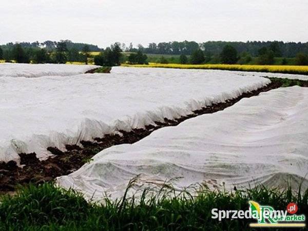 Agrowłóknina 19g 23g 30g UV Polska Włóknina