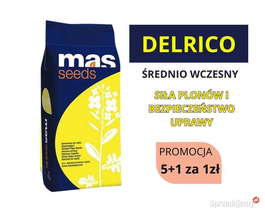 Nasiona rzepaku MAS DELRICO 15 mln nasion Gniezno sprzedam