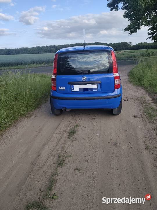 Fiat panda benzyna