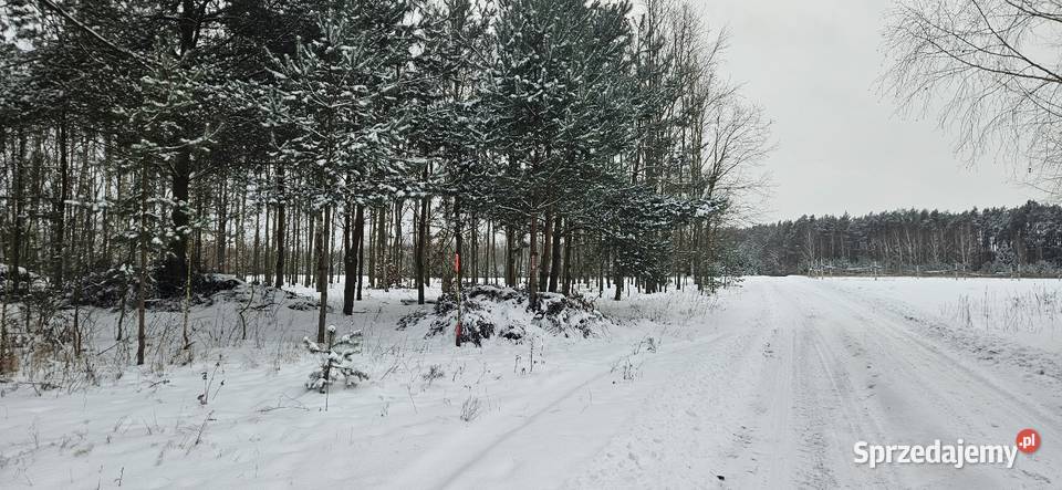 Działka bud 2900 M2 Łukawska Wola WZ ZADRZEWIONA mazowieckie