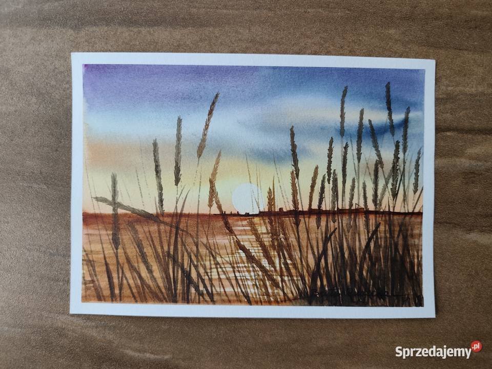 Akwarela Akwarelka Obraz pt Drugiej Stronie 15 x podlaskie Białystok