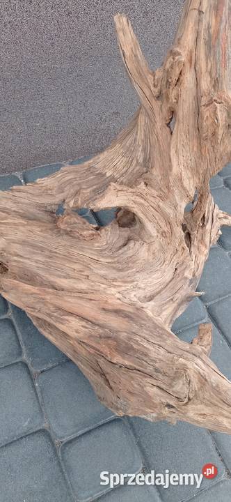 Drewno dryftowe driftwood 100 naturalny korzeń Pińczów