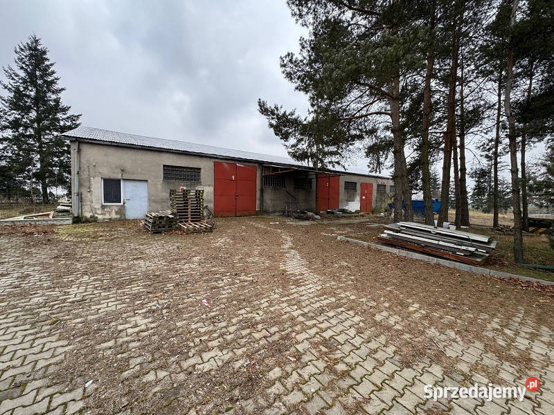 Syndyk sprzeda nieruchomość zabudowaną w 13586m2 Łambinowice sprzedam