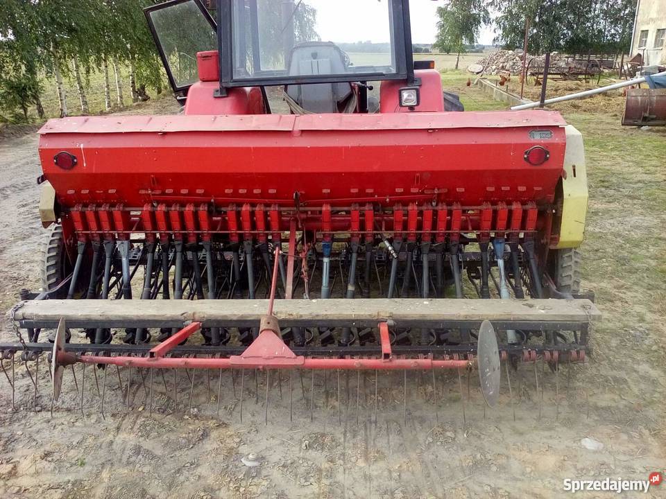 Siewnik poznaniak 27 kujawsko-pomorskie Łasin-Wybudowanie