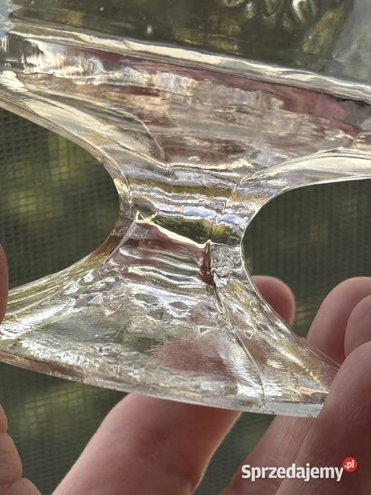 Pucharek stokrotki w nietypowym kolorze Mielec