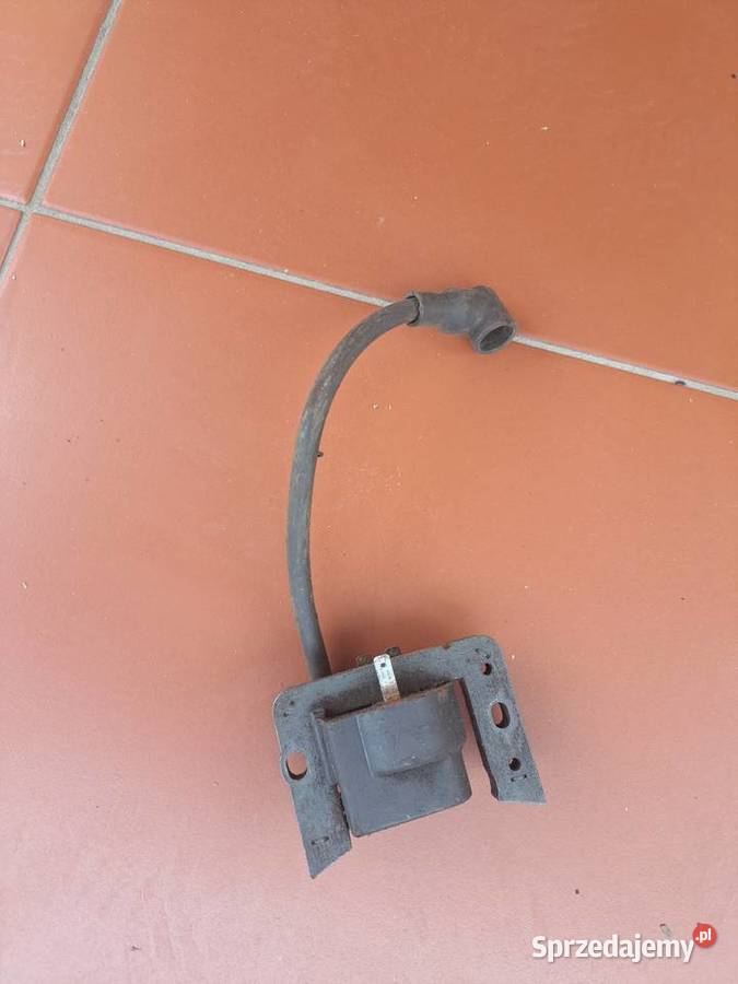 Cewka Tecumseh Małogoszcz