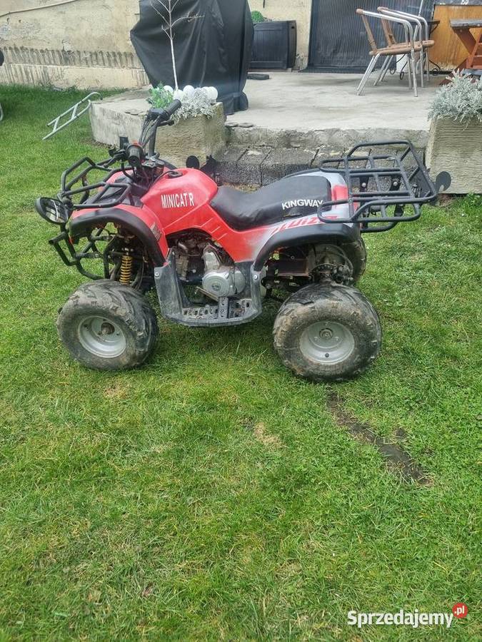 Quad Kingway minicatR 110 Świbie