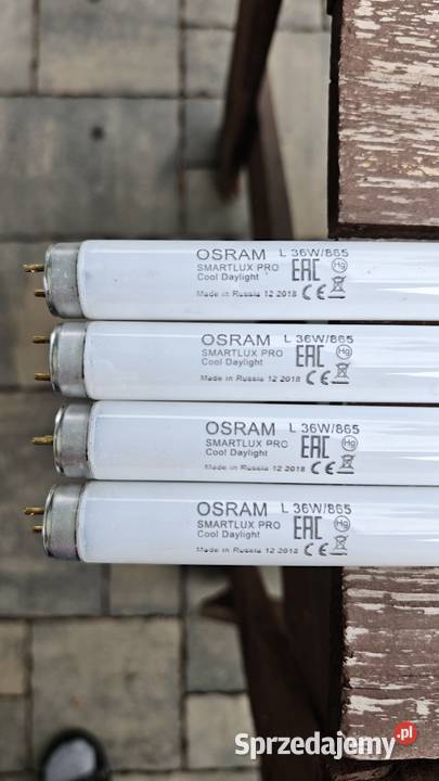 4x świetlówka G13 T8 L 36W865 120 Osram podlaskie Białystok sprzedam