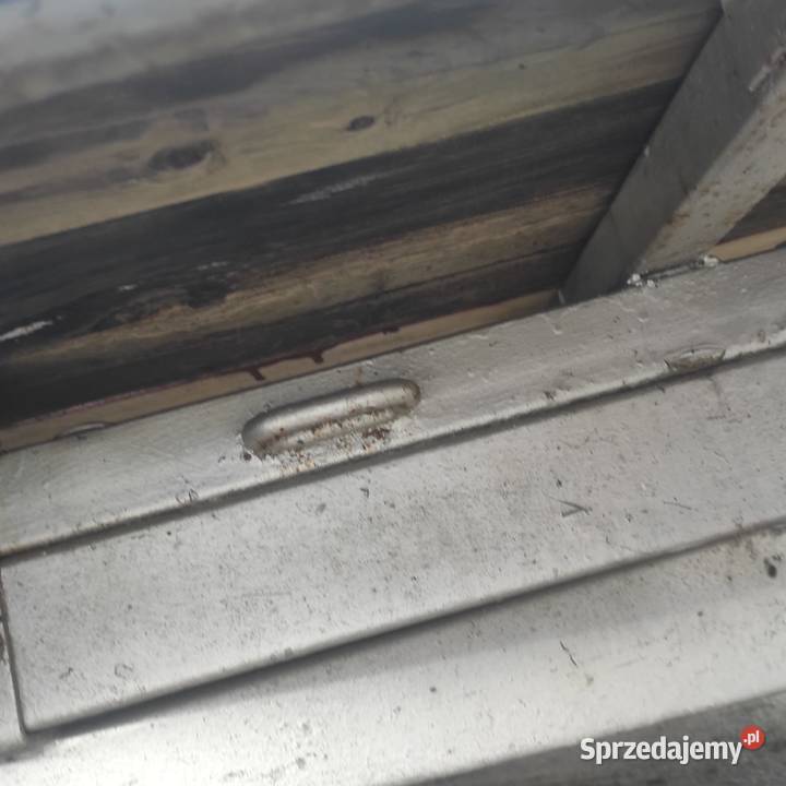 Przyczepa laweta platforma sam mocna konstrukcja Bydgoszcz sprzedam