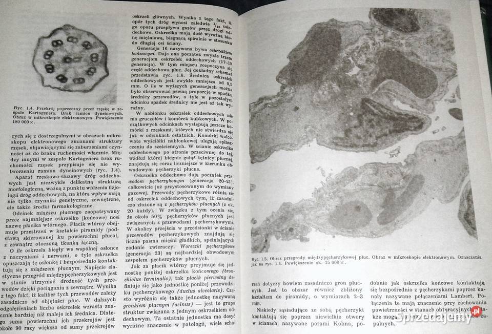 Nauka o chorobach wewnętrznych Tom 5 Witold Chełm