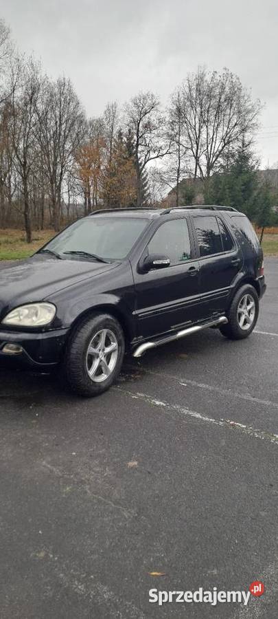 Mercedes nieuszkodzony