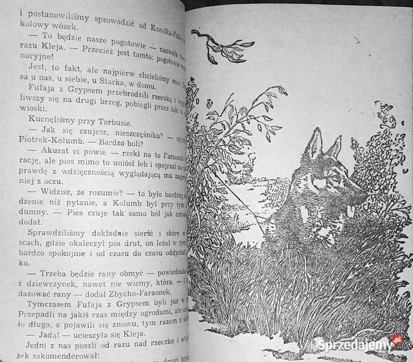 Cień słońca Jan Piepka Rok wydania 1984 Chełm