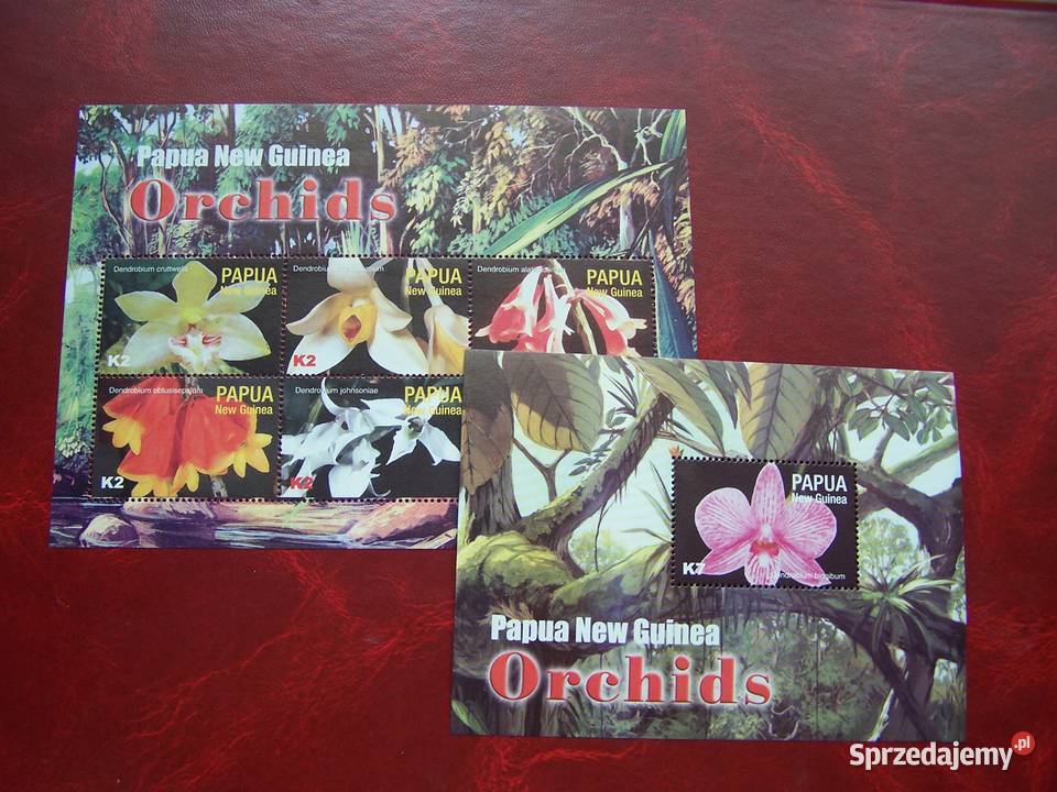 Papua Nowa Gwinea 2004 MNH Flora Kwiaty Orchidee Tychy