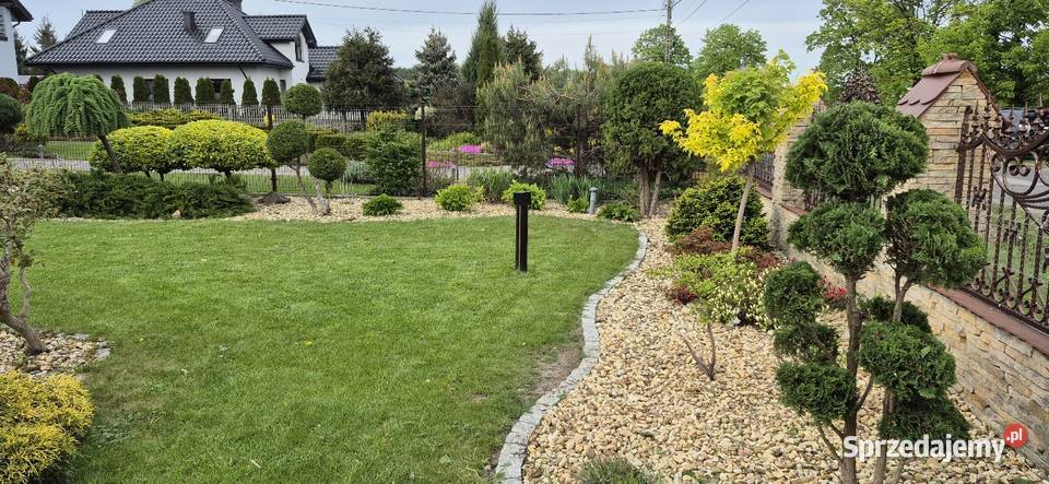 Usługi leśno ogrodnicze Kurnędz