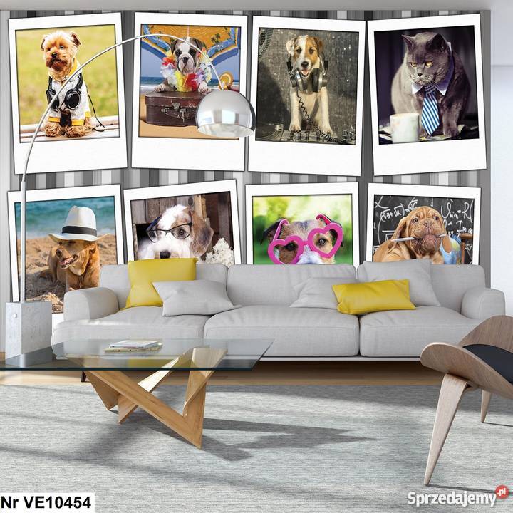 Tapeta fototapeta Pieski i kotki psy i koty wewnętrzne Leszno sprzedam