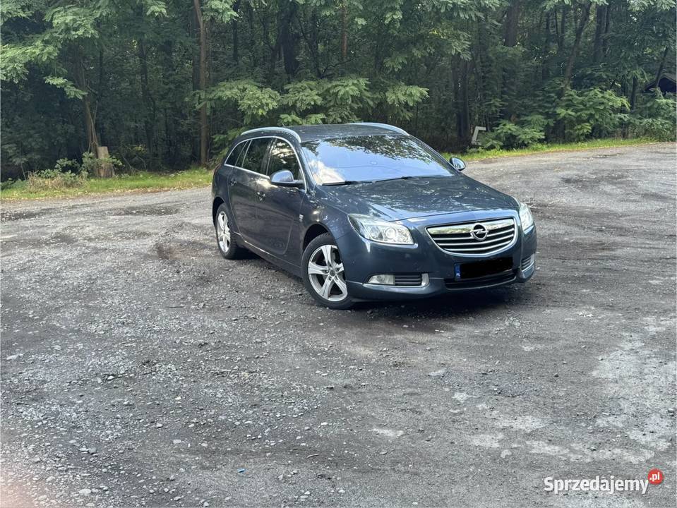 Opel Insignia A opc line 4x4 20cdti Lubin