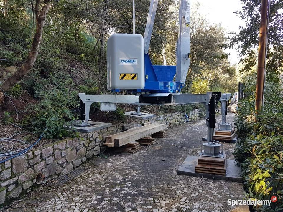 Nowy żuraw samojezdny VICARIO 331R 0h dolnośląskie Ligota Piękna