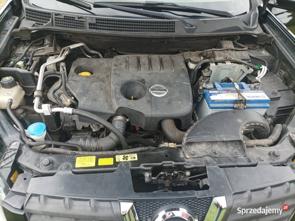 Nissan Qashqai 15 dCi Klima SUV CD Kłodawa