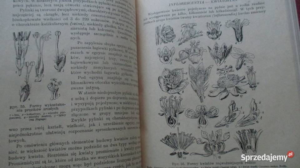 Zarys farmakognozjiSurowce o budowie Łódź