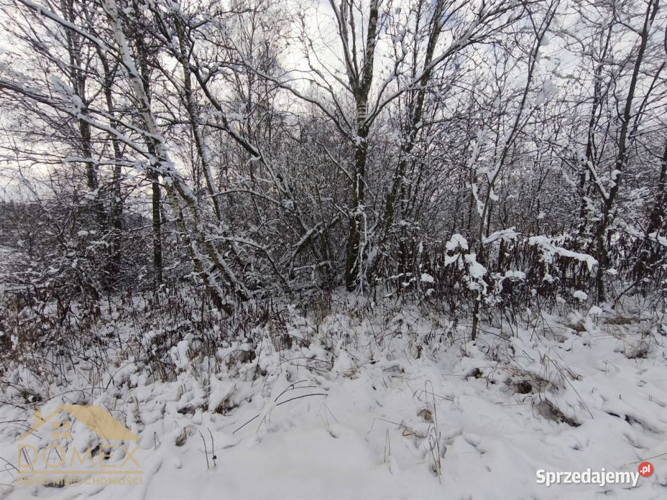 Działka Radlin 3467m2