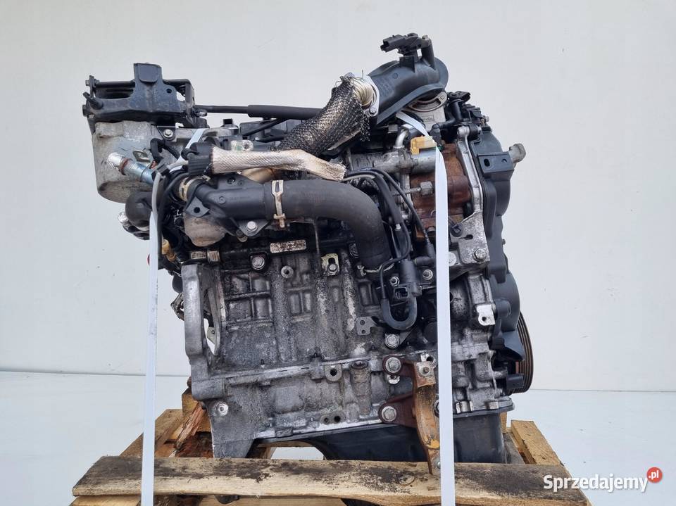 SILNIK KOMPLET Ford C C II 16 TDCI 115 T1DA T1DB lubelskie Rudka sprzedam