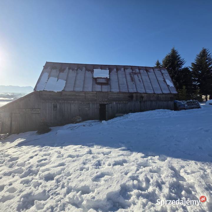 Wynajmę duży plac zielony z zabudowaniami drewniane Czerwienne