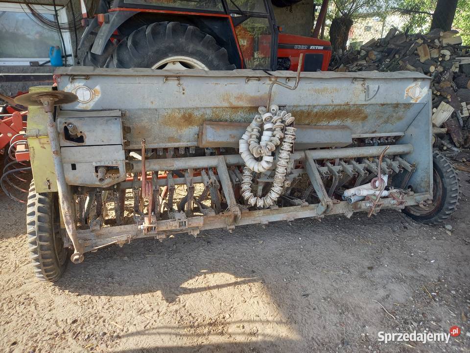 Poznaniak Biała Podlaska sprzedam