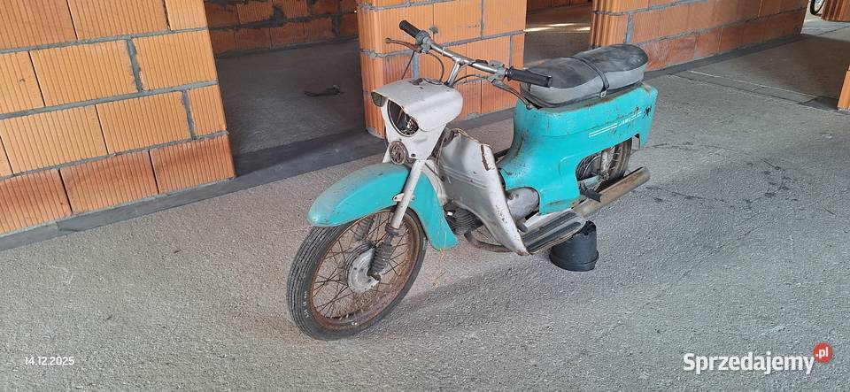 Sprzedam Jawka Chojnów