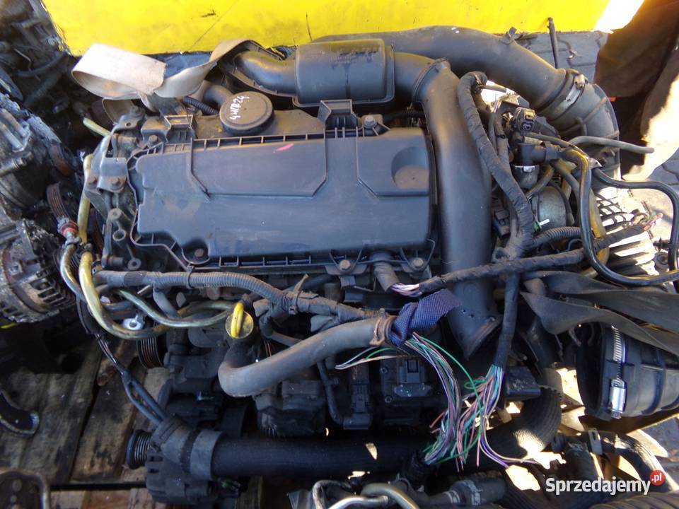 VIVARO TRAFIC PRIMASTAR 20 DCI EURO 5 14r 114 osobowe Silniki kompletne Suków