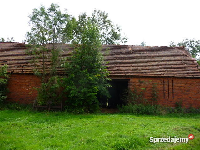 Gospodarstwo rolne zabudowania pole 598 h Grunty i działki dolnośląskie Tymowa
