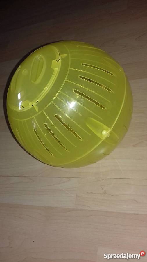 Kula Szynszyla Nowa Dęba