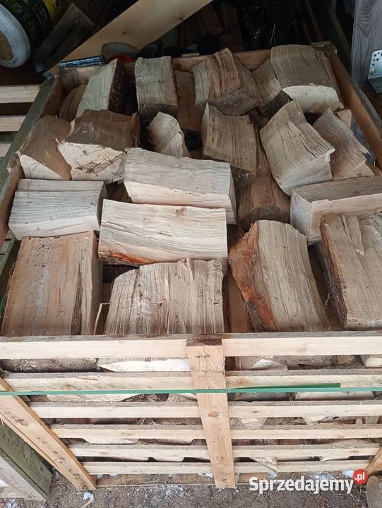 Drewno kominkowe Banino