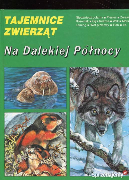 Tajemnice zwierząt Na Dalekiej Północy Szczecin