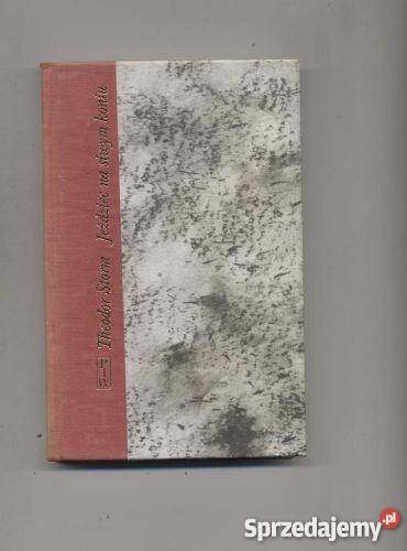 Jeżdziec na siwym koniu Szczecin