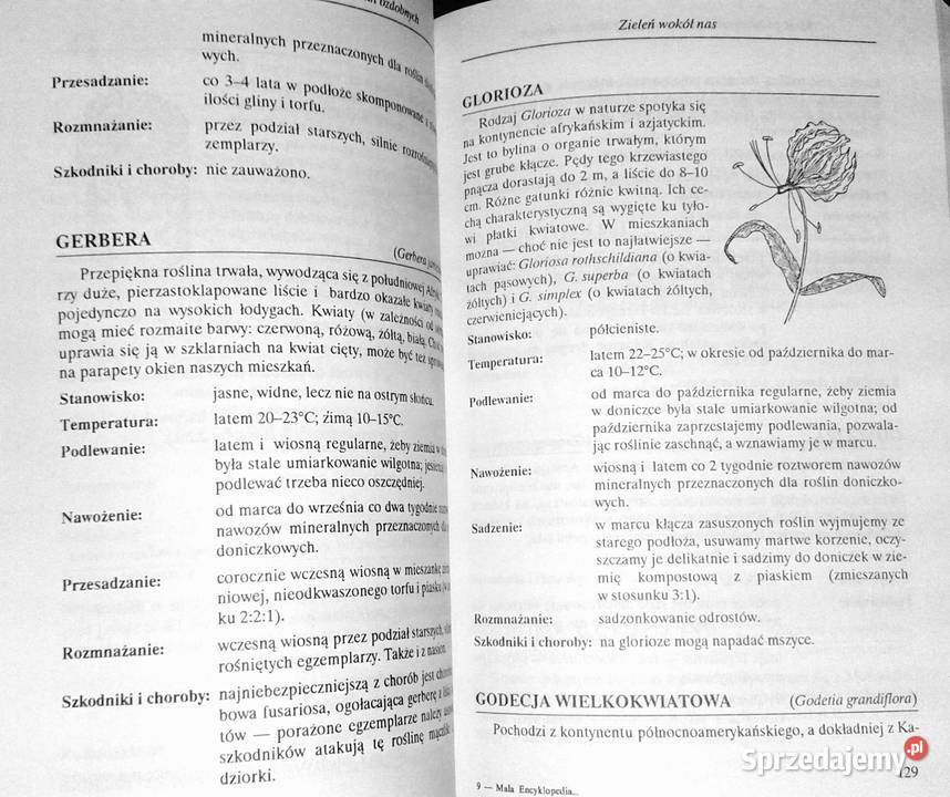 Mała encyklopedia doniczkowych roślin ozdobnych