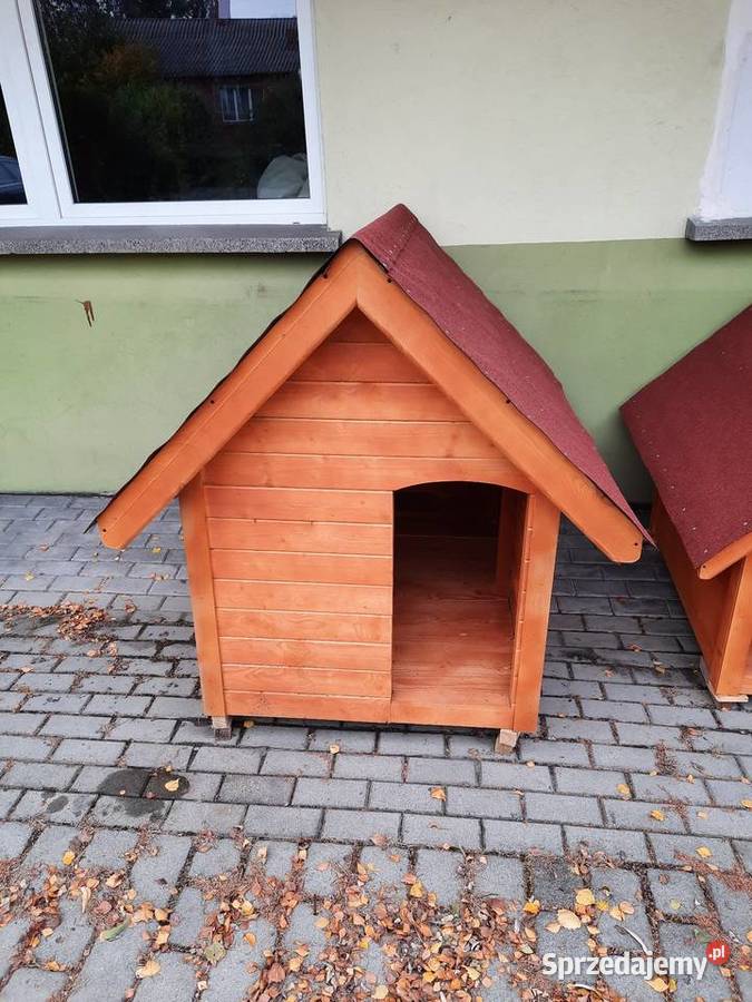 Budy w Labrador Rybnik