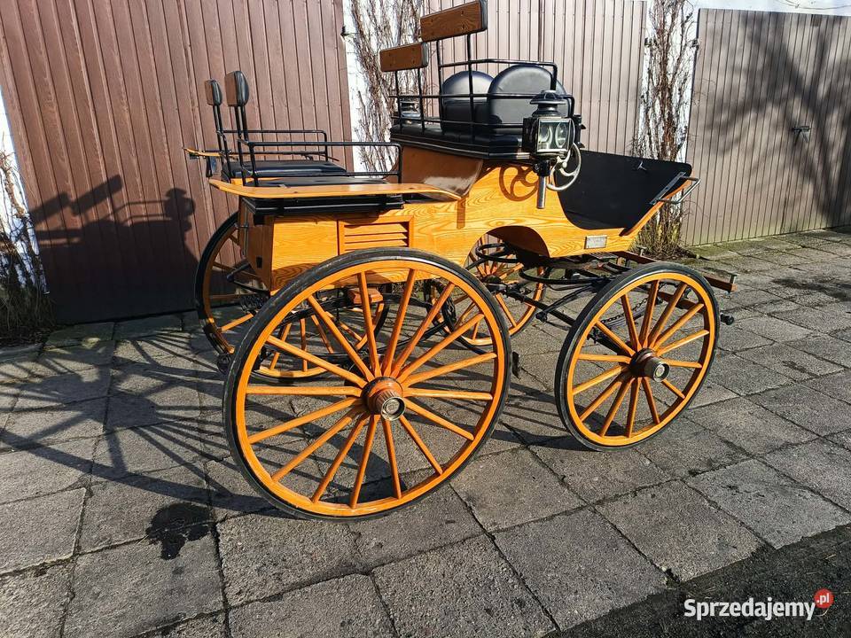 Bryczka Konna typ Sport Break Powóz łódzkie Dobroń