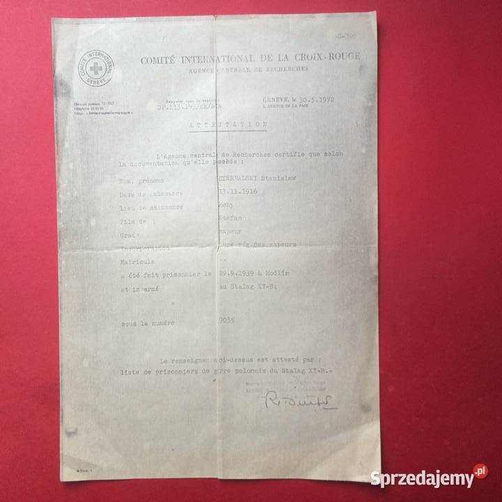 1336 Pobyt w Stalagu XIB Sternalski Antykwariat