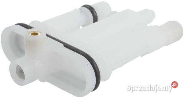 Dysza główna 84001966 małopolskie