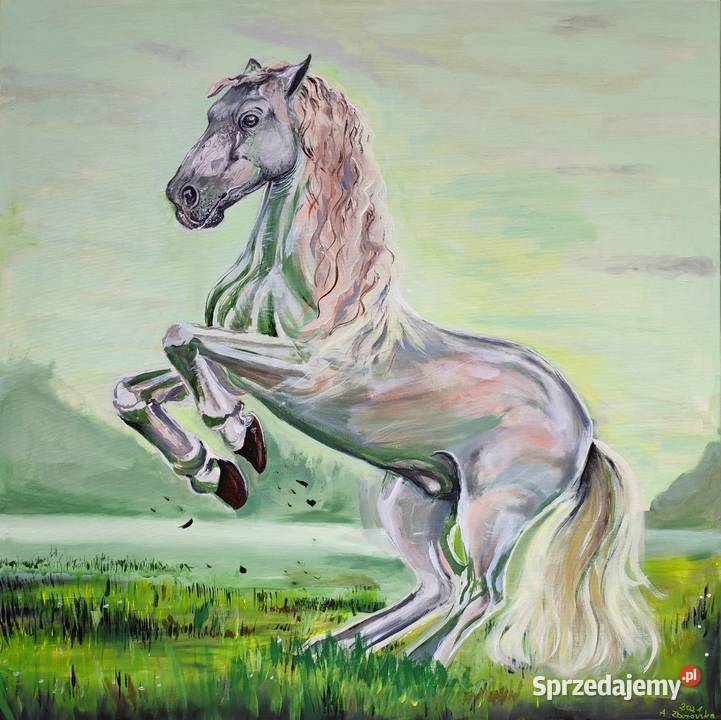 Koń mazowieckie Płock