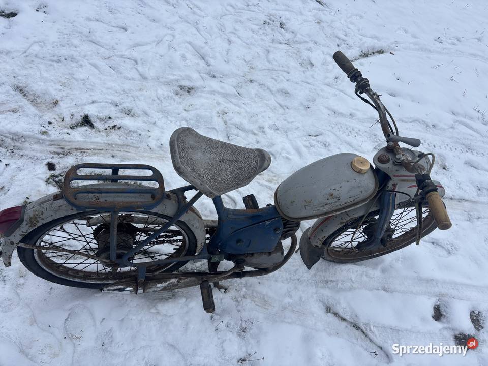 Komar Sztywniak oryginał Radomsko