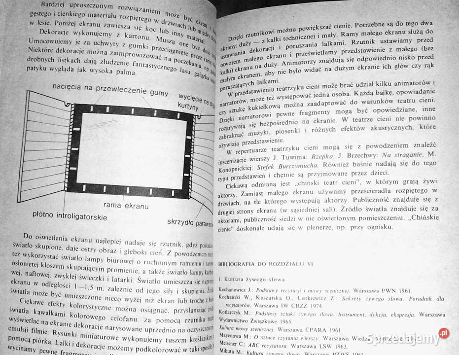 Zajęcia pozalekcyjne z dziećmi upośledzonymi Rok wydania 1988 Chełm sprzedam