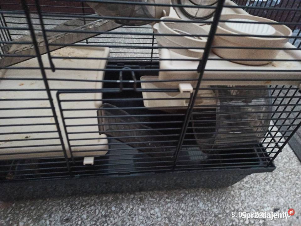 Klatka na gryzonie Dla gryzoni zachodniopomorskie Koszalin
