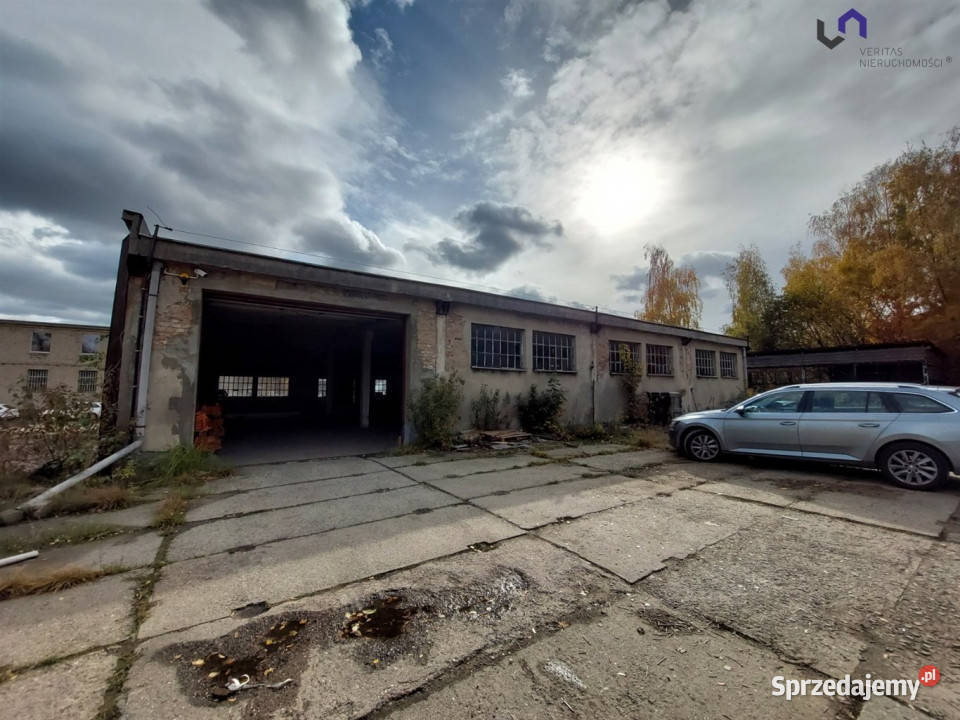 Lokal Katowice 423m2