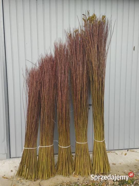 Wiklina sortowana 160 do 260 Korczowiska