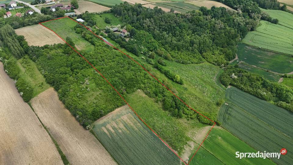 Działka pod winnicę siedlisko Jaksice