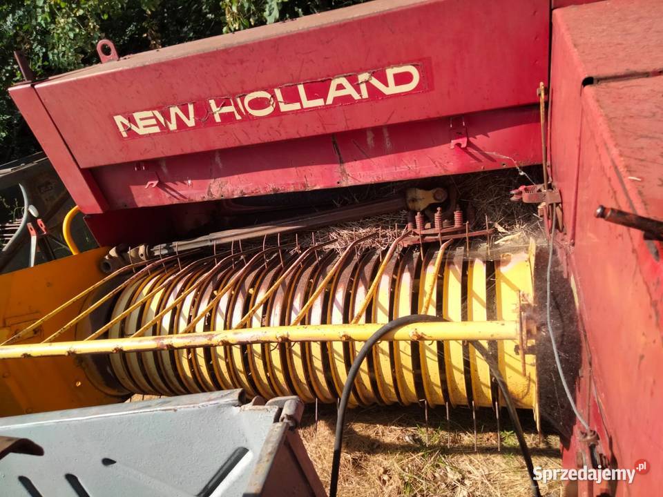 Prasa news holland małopolskie Bochnia