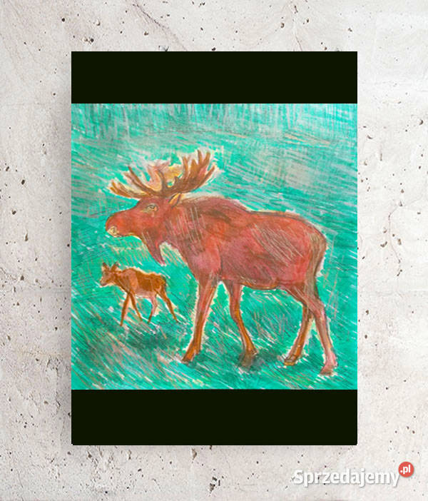 zwierzęta plakat A4 myśliwski obraz z łosiem Szczecin