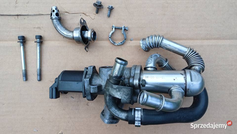 Kompletny zestaw EGR 55201144 do OpelFiatSuzuki śląskie