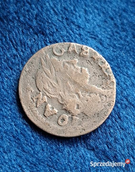 Szeląg litewski Jan II Kazimierz Waza Brześć Wejherowo